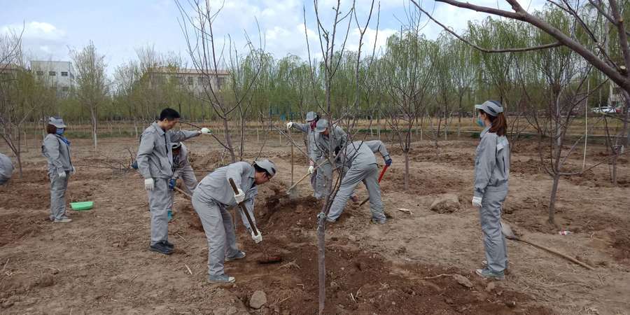 1556066697743188.jpg 李.jpg