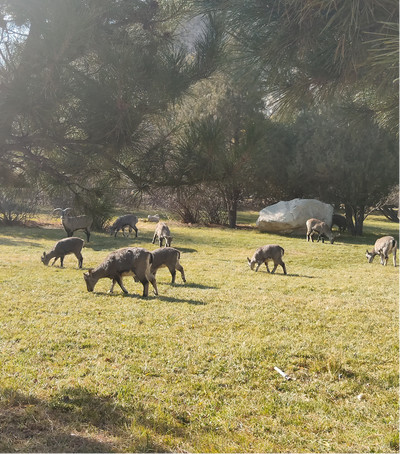 1607044901123910.jpg 圖片2.png.jpg