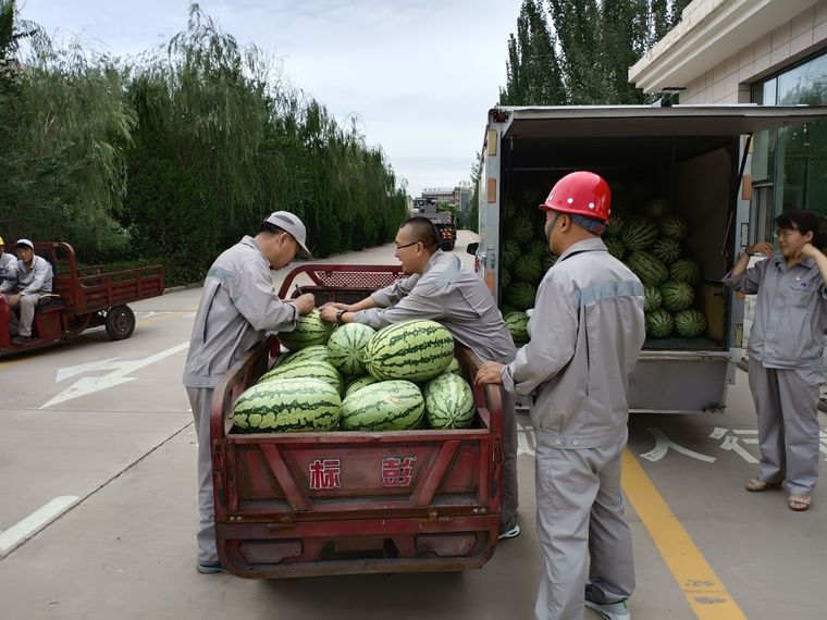 1658385073593657.jpg 3.jpg