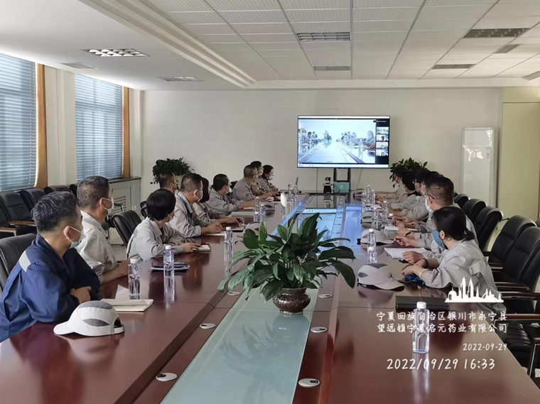 1667540362942331.png 夏茹2_副本.png