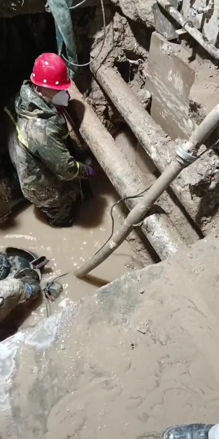 1679293347403606.jpg 馬天軍2.jpg